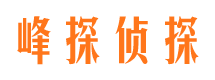 新津寻人公司